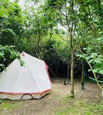 FireandStarsWoodlandCamping