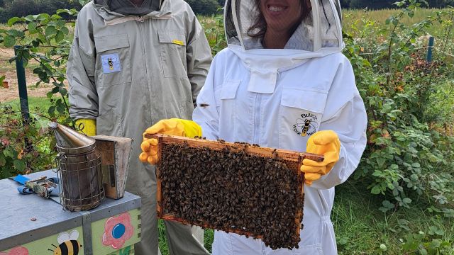 HoneyBeeExperienceImage2