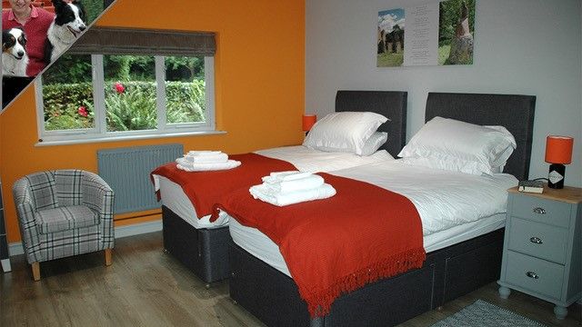 Bushwell Farm Image 1 (2)