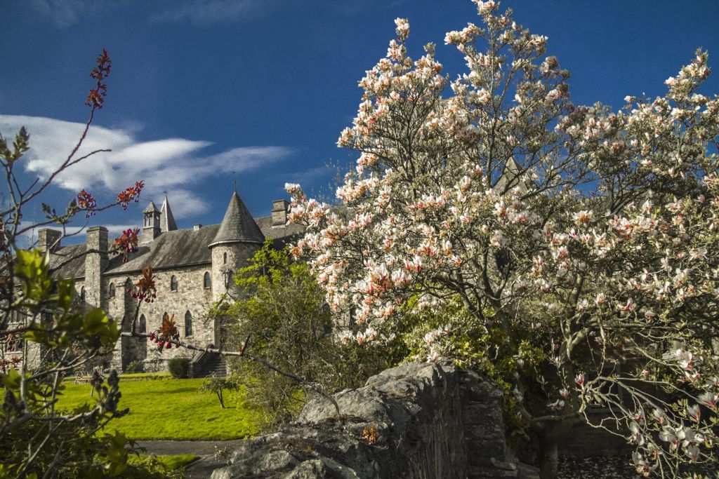 MountStBernardAbbey