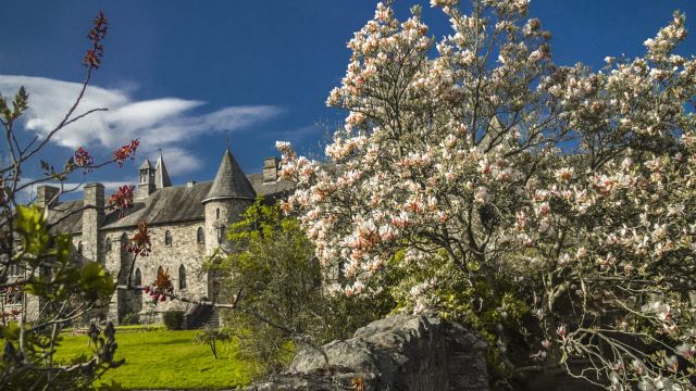 MountStBernardAbbey