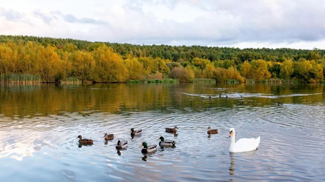 Sence Valley