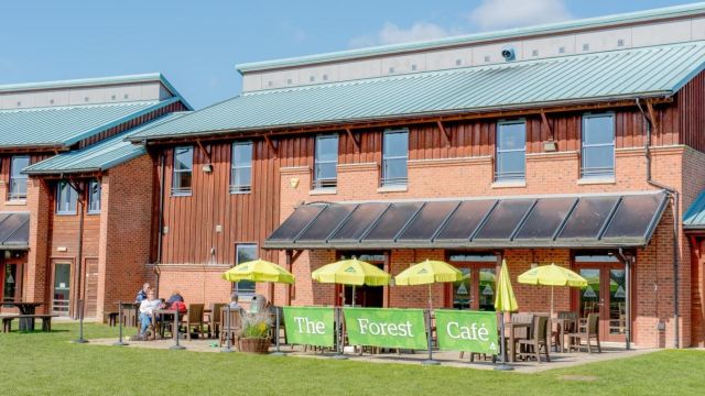 YHA National Forest