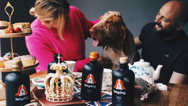 Lazy Dog Distillery