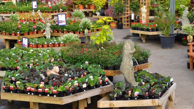 Sunnyside Garden Centre