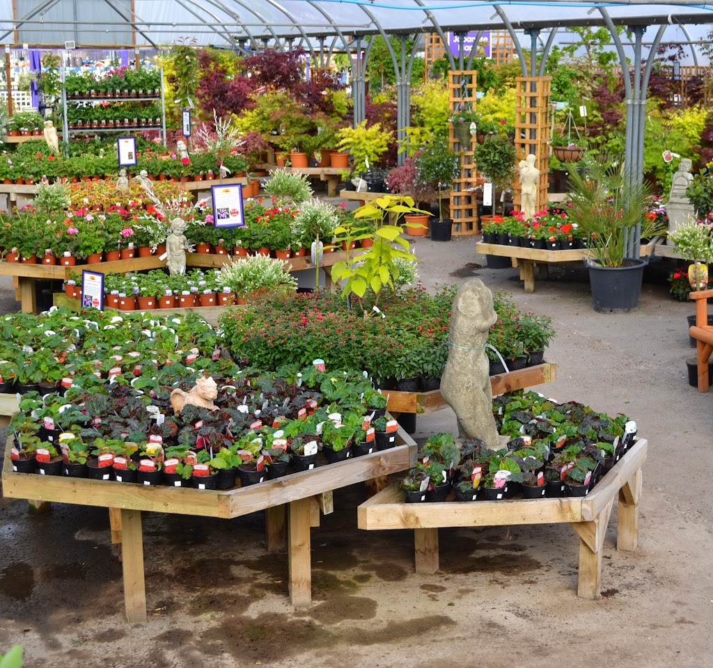 Sunnyside Garden Centre