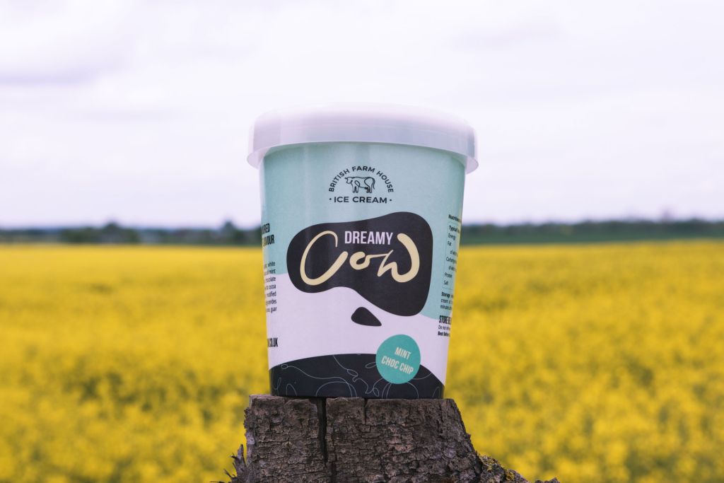Dreamy Cow