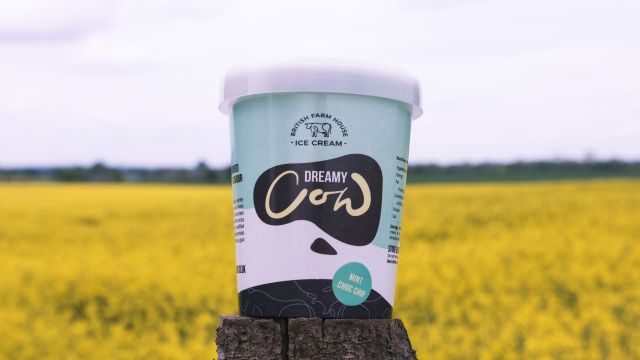 Dreamy Cow