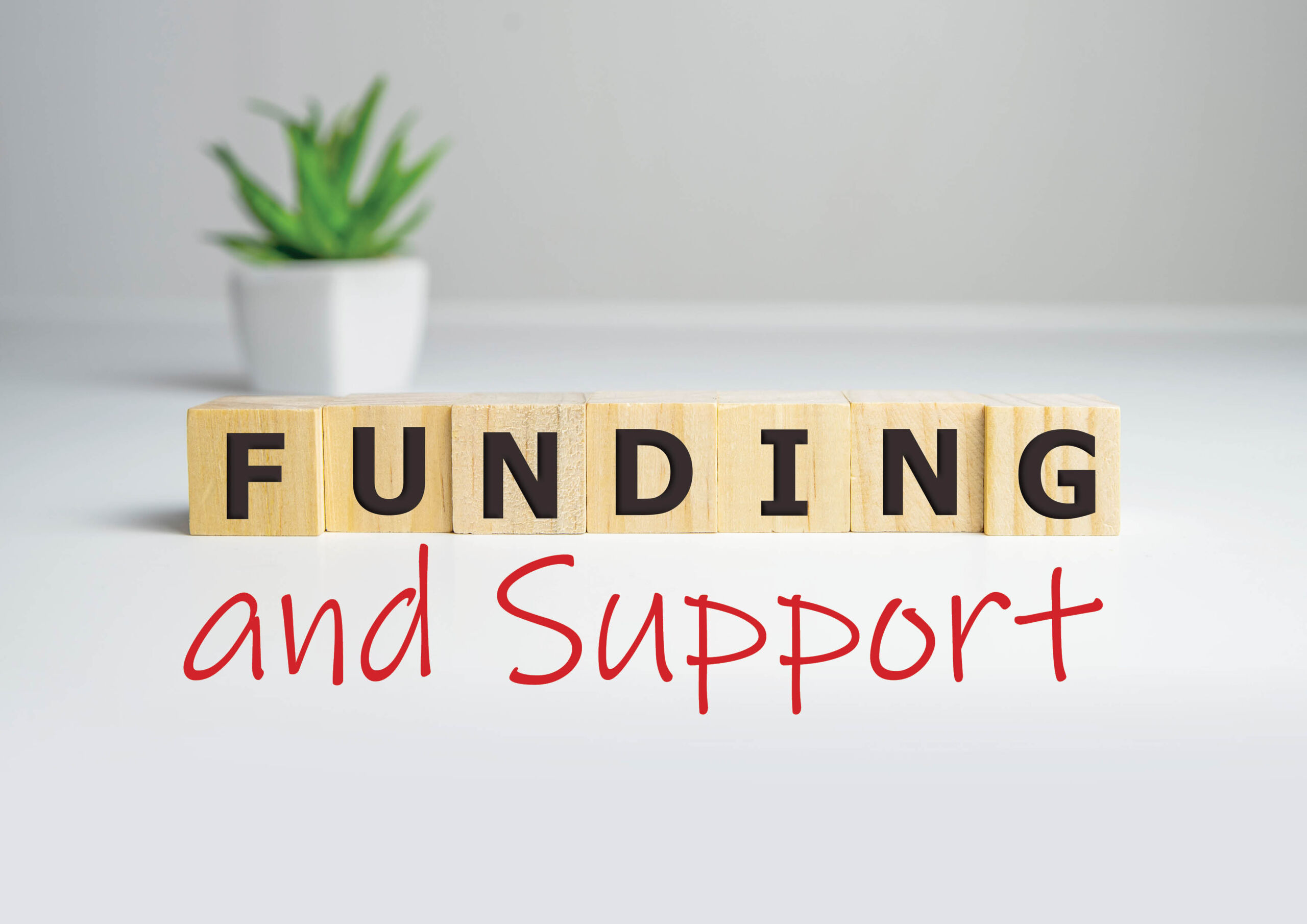 Funding and support v1
